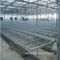 Design agriculturial glass steel structure greenhouse